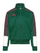 J Np Ttop Green Adidas Sportswear