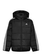 J Ess 3S Pad Black Adidas Sportswear