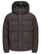 Jjebradley Puffer Hood Sn Brown Jack & J S