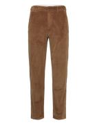 Chuck Regular 8-Wales Corduroy Chin Brown Knowledge Cotton Apparel