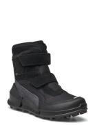 Biom K2 Black ECCO