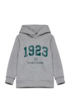 Hmlnipps Hoodie Grey Hummel