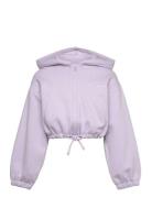 Cropped Cutline Hoody Jacket Purple Tom Tailor