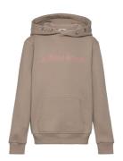 Borg Essential 3 Hoodie Beige Björn Borg