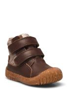 Bisgaard Helton Tex Brown Bisgaard