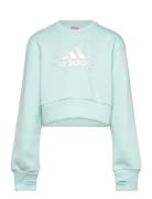 Jg Glm Crew Blue Adidas Sportswear