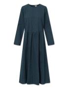 Sabine Dress - Cotton Navy STUDIO FEDER