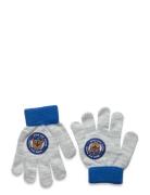 Glovers Grey Paw Patrol