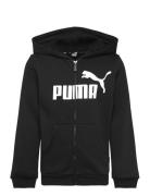 Ess Big Logo Fz Hoodie Fl B Black PUMA