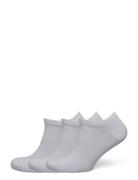 Socklet 3-Pack White Hound