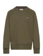 Shield C-Neck Green GANT