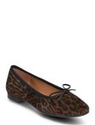 Ballerina Brown Billi Bi