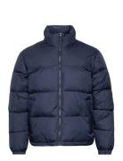 Hco. Guys Outerwear Navy Hollister