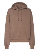 Standard Hoodie Beige Weekday