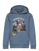 Lwscout 706 - Sweatshirt Blue LEGO Kidswear