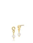 Majesty Gold Izabel Camille