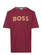 Short Sleeves Tee-Shirt Burgundy BOSS