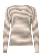 Cwamy Stripe - T-Shirt Beige Claire Woman