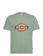 Icon Logo Tee Green Dickies