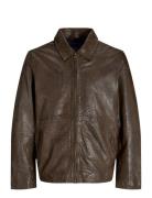 Jorcrincle Leather Jkt Styd Aw24 Brown Jack & J S