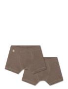 Cilas Boxershorts - 2 Pack Brown That's Mine