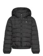 Shield Padded Jacket Black GANT