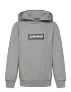 Chamois Hoodie Grey Napapijri