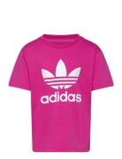 Trefoil Tee Pink Adidas Originals