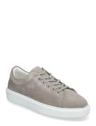 Field U Suede Grey Grey Sneaky Steve