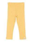 Legging Modal Dot Yellow Petit Piao