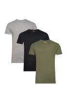 Slim Crewneck 3-Pack Green Polo Ralph Lauren