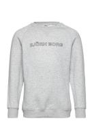 Borg Essential 3 Sweatshirt Grey Björn Borg