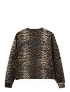 Elisw Sweatshirt Brown Sofie Schnoor