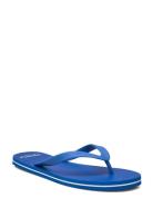 Orlando Flipflop Blue Lexington Clothing