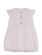 Dress Knit Purple Fixoni