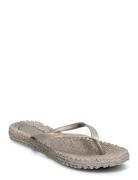 Flip Flop With Logo Beige Ilse Jacobsen