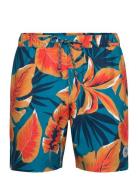 7" Volley Rec Aop Tr Patterned Original Penguin
