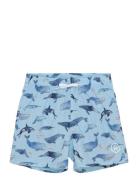 Swim Shorts, Aop Blue Color Kids