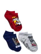 Socks Patterned Paw Patrol