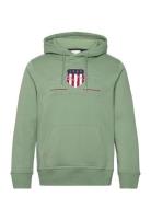 Reg Archive Shield Hoodie Khaki GANT