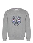 Anniv 5 Reg Uspa Uni Sw Grey U.S. Polo Assn.