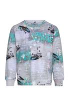 Hexa Grey POP & CO