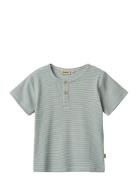 T-Shirt S/S Lumi Green Wheat