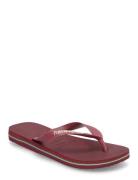 Hav. Brasil Logo Burgundy Havaianas