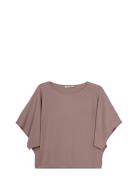 Short Sleeve Knit, Klea Brown Ivo Nikkolo