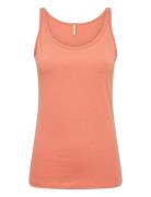 Sc-Pylle  Soyaconcept