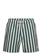Hco. Guys Swim Navy Hollister