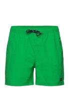 Leisure Swim Shorts Green H2O