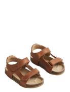 Sandal Corey Brown Wheat
