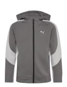 Evostripe Full-Zip Hoodie Dk B Grey PUMA